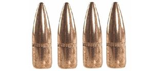 Picture for category Bullets