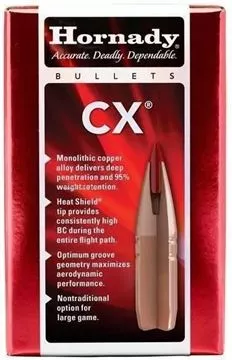 Hornady Rifle Bullet