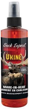 Buck Expert