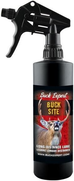 Buck Expert