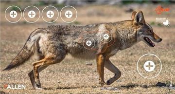 Allen EZ-Aim Paper Coyote Target