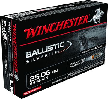 Winchester Supreme Ballistic SilverTip Rifle Ammunition